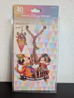 【新品未開封】ディズニー 40周年 バケーションパッケージ限定 バッグチャームのサムネイル