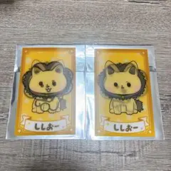 いれいす　minini カード　ししおー　悠佑