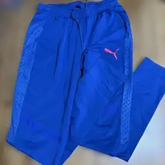 プーマ　PUMA ジャージ　下　ズボン　パンツ　ブルー　EVOTRG Mサイズ