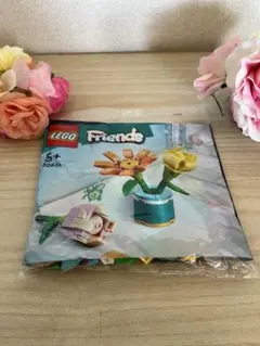 LEGO フレンズ　30634