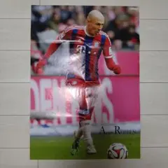 2025年最新】アリエン・ロッベンの人気アイテム - メルカリ