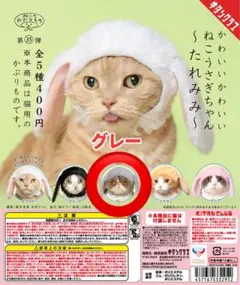 ねこのかぶりもの かわいいかわいいねこうさぎちゃん　たれみみ グレー