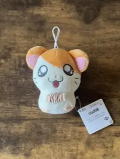 Item thumbnail for item 5cd72ea3-7128-4ef9-9fa8-da7c486108bc