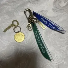 backnumber one room party vol.6 キーホルダー - メルカリ