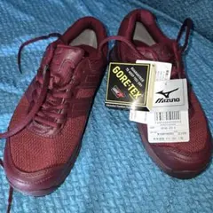 Item thumbnail for item c4c89e79-c1a3-43c7-9ee8-750302c06dad