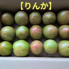 お待たせしました‼️訳あり青森県産　青めのトマト 2.5kgのサムネイル
