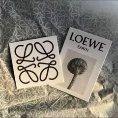 最終価格【LOEWE】art draped press coat - メルカリ