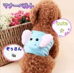 Item thumbnail for item 6f5cf69e-9277-4d3c-a03e-89a61d069e10