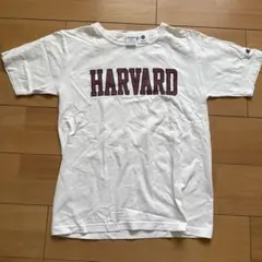 Champion T1011 HARVARD Tシャツ Mサイズのサムネイル