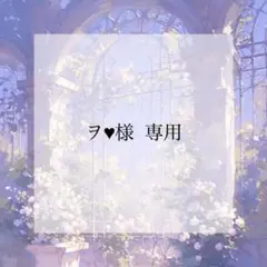 プレインシート　専用