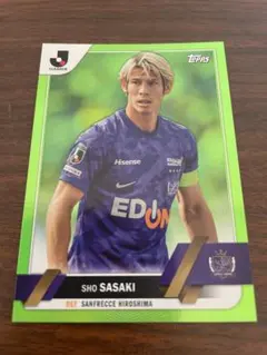 Item thumbnail for item 27036640-9464-463d-8018-e35a926cdc30