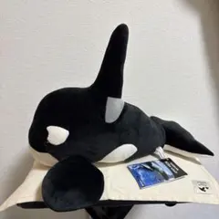 2025年最新】名古屋港水族館 シャチ ぬいぐるみの人気アイテム - メルカリ