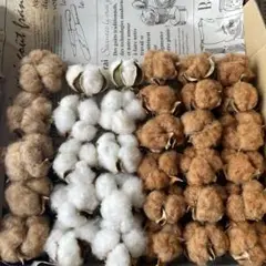 ドライコットン花材詰め合わせ①