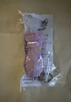 新品・ 미개봉 プリキュア 입장자 특템 ポチたんミラクルライト