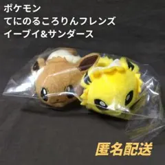 ポケモン てにのるころりんフレンズ ぬいぐるみ イーブイ サンダース 当時物