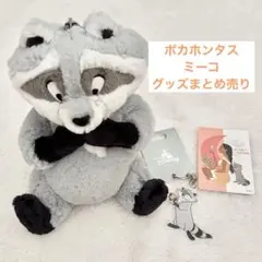 ポカホンタス ミーコ グッズまとめ売り/ポージーペンケース アクリルキーホルダー