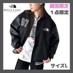 1点のみ❗️韓国 THE NORTH FACE ヒートジャケットスタジャン L