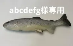 2026年最新】ハドルトラウトの人気アイテム - メルカリ