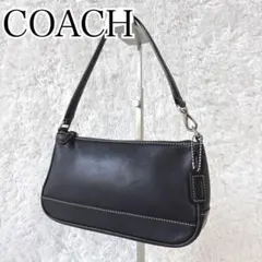 COACH AccessoryPouch OneShoulder Leather
