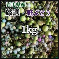 2025年最新】馬ブドウの人気アイテム - メルカリ