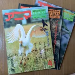 2025年最新】アニマ 平凡社の人気アイテム - メルカリ