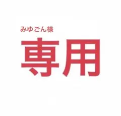 みゆごん様 リクエスト 10点 まとめ商品