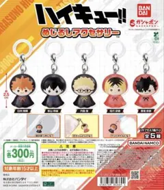 ハイキュー　めじるしアクセサリー（影山飛雄）