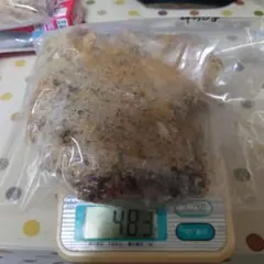 あおい様専用出品　コムハニー 2kgのサムネイル