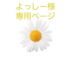 よっしー様専用ページ　BIGBANGペンライトケース製作
