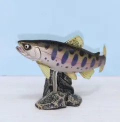 原色淡水魚図鑑 Ⅰ [ 改定版 ]イワナアルビノ. ウナギアルビノ . 大正三色 原色淡水魚図鑑 Ⅰ [ 改定版 ]イワナアルビノ. ウナギアルビノ