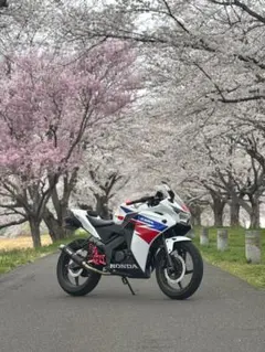 2026年最新】cbr125r jc50の人気アイテム - メルカリ