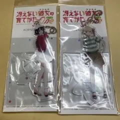 冴えない彼女の育てかた アクリルキーホルダー 加藤恵 澤村・スペンサー・英梨々