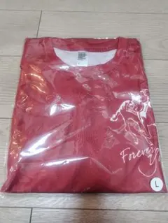 非売品　ノーザンホースパークマラソン記念TシャツLサイズのサムネイル