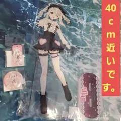 2026年最新】Fate/kaleid liner プリズマ☆イリヤ Licht 名前の無い 