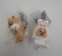 skzoo つまんでつなげて　リービット　ハンクォッカ　2点セット　カニカン