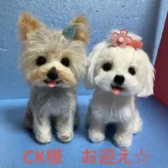 Item thumbnail for item ac9c4867-9d1b-4871-8f43-367fd40ccff1