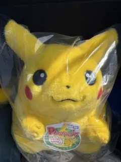 ポケモンカード30周年記念 ぬいぐるみ おかえり！ピカチュウ1/1