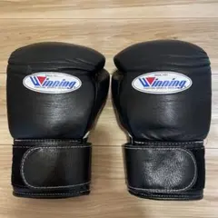 ボクシンググローブ 8