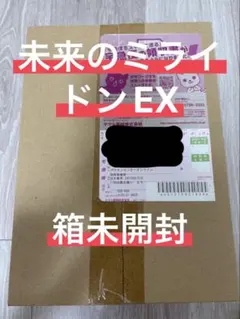 【箱未開封】未来のミライドンEX