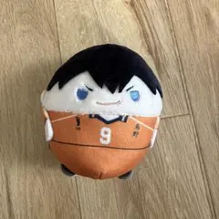 ハイキュー 影山飛雄 ふわコロりんM