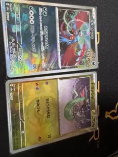 ドラメシヤ　トドロクツキ　マスターボールミラー