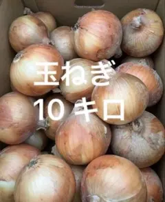 玉ねぎ　10 キロ　秀品　産地直送のサムネイル