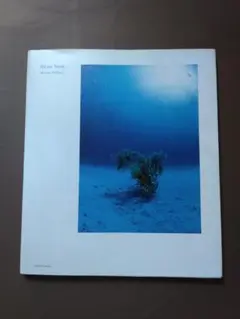 生島 浩 「SUN SHOWER」、厳選、希少画集・額装画、人気作品 - メルカリ