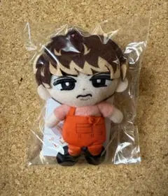 すのチル ぬいぐるみ 向井康二