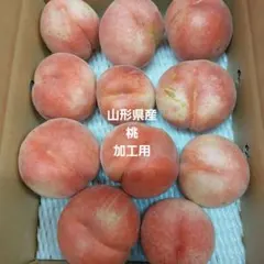 山形県産11加工用31日