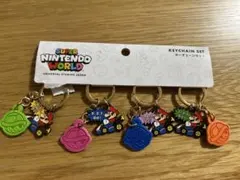 USJ スーパーニンテンドーワールド　スーパーマリオキーチェーンセット