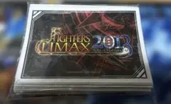 開封使用品　ヴァンガード　スリーブ　2013