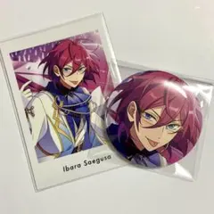 あんスタ 七種茨 茨 EXTRA ss ぱしゃっつ 缶バッジ action