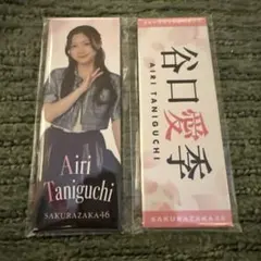 Item thumbnail for item 6365c769-998e-4c8c-acc2-d4ed3aa1a20b