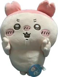 【ちいかわ】古本屋　BIGぬいぐるみ【タグ付き】